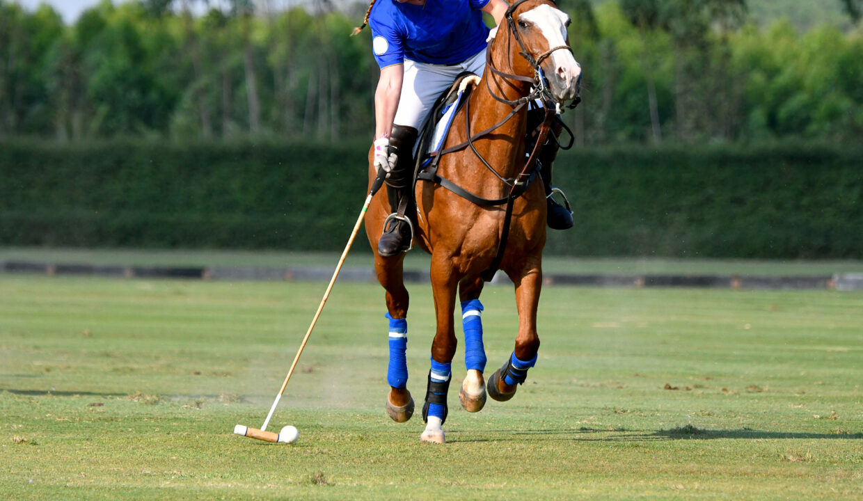 Polo,Player,Is,Using,Polo,Mallet,Hit,Polo,Balls,During