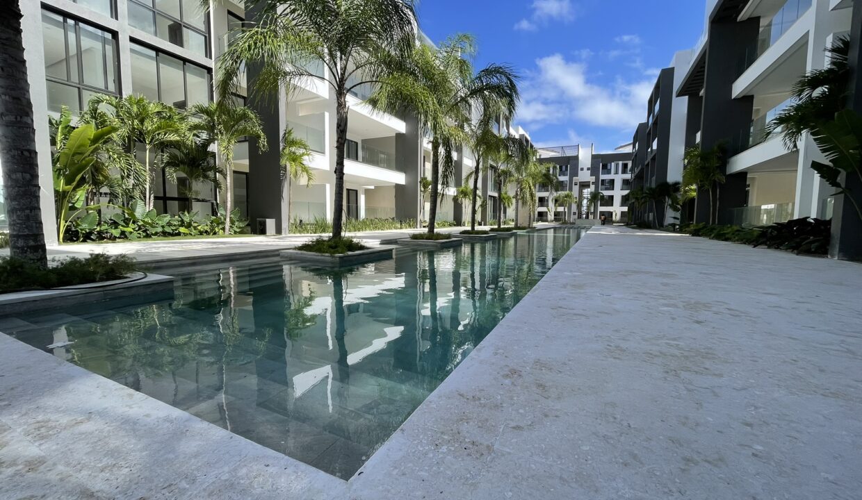 Plantación y vegetación en marcha