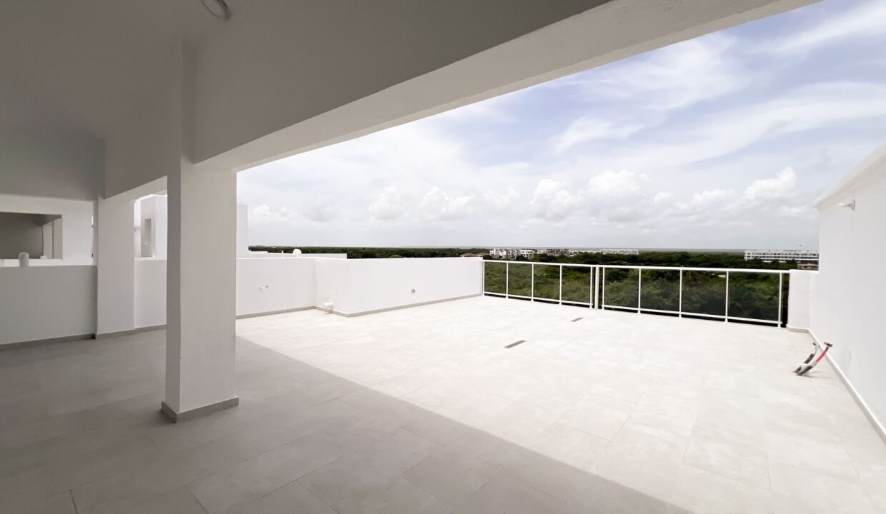 cana pear 4 nivel 11