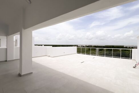 cana pear 4 nivel 11