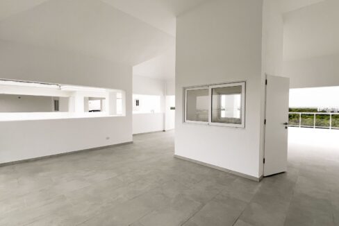 cana pear 4 nivel 13