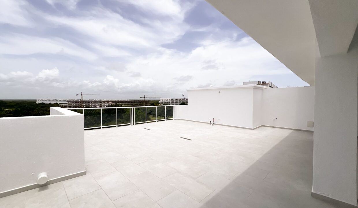 cana pear 4 nivel 14