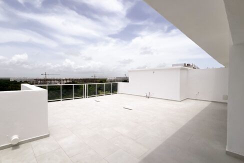 cana pear 4 nivel 14